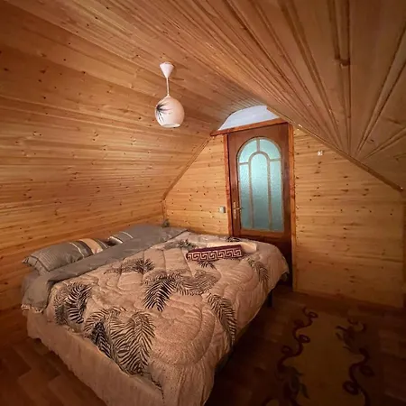 Bovilla Canyon Dajti