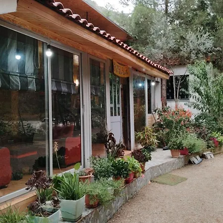 Bovilla Canyon Dajti