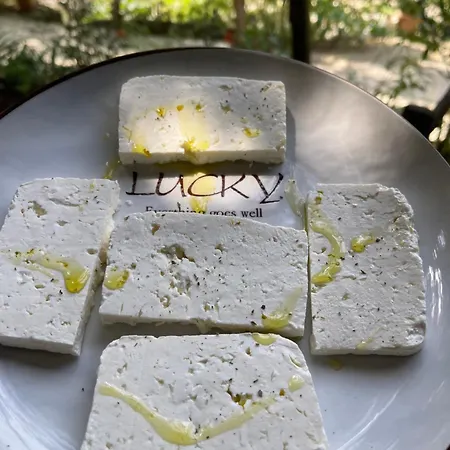 酒店 Bovilla Canyon 地拉那